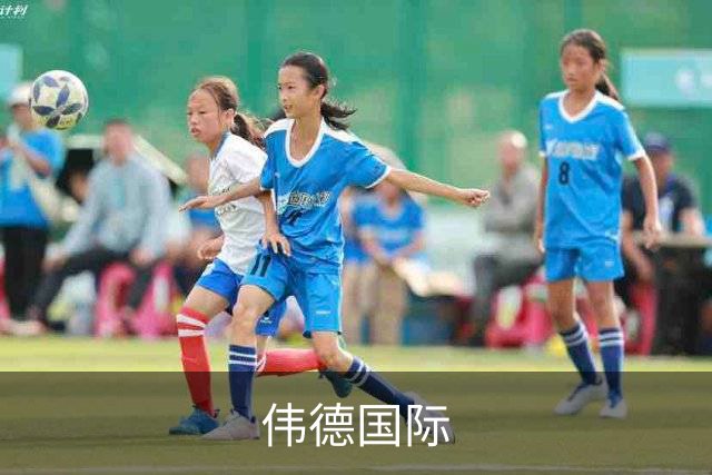 伟德国际公司简介
